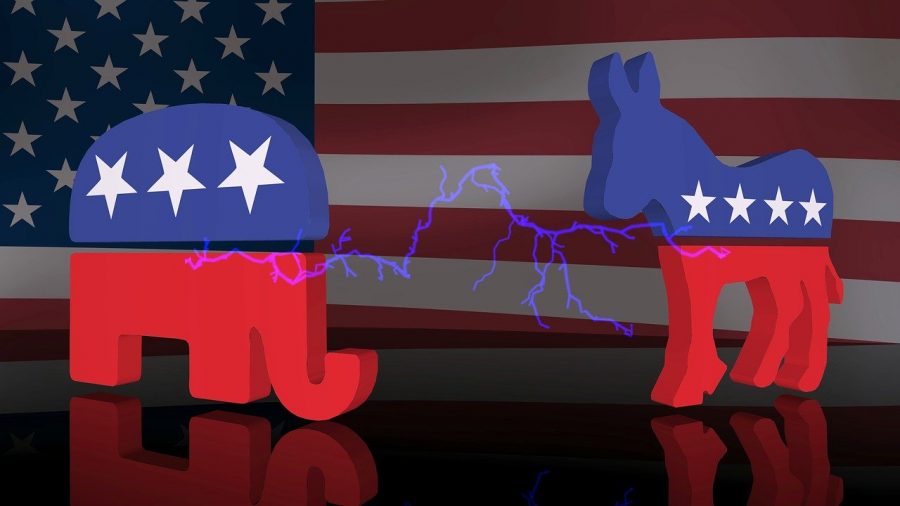 A Crowded Field: The 2020 United States Elections