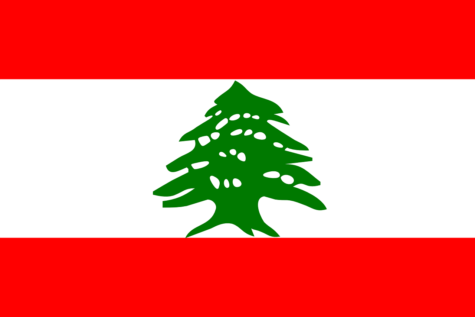 Never Will the Cedars Wood Fall: The Beirut Explosion in Lebanon and FIS