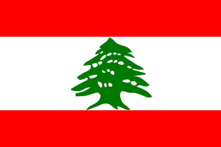 Never Will the Cedar's Wood Fall: The Beirut Explosion in Lebanon and FIS