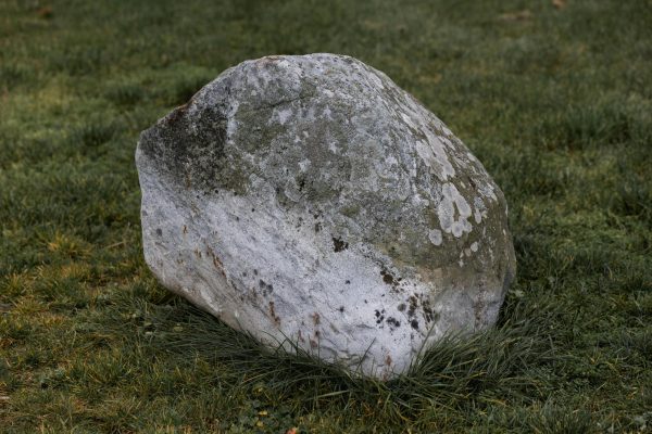 The Pet Rock: A Curious Relic of an Era